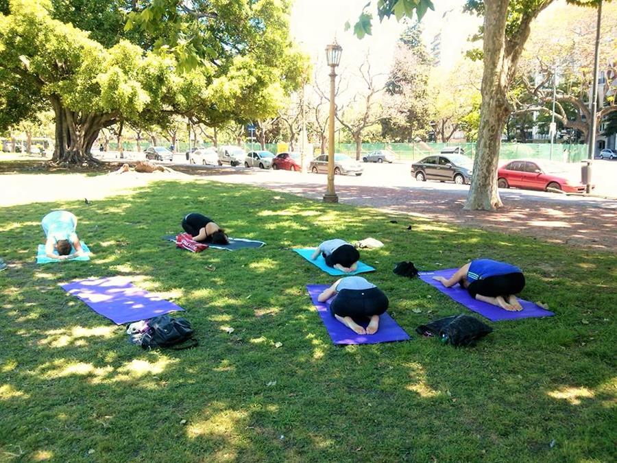 yoga for begginers at the park 2016